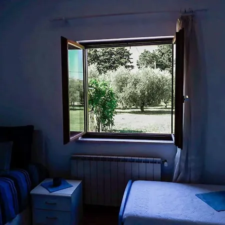 Marko Monterosso, Comfy With A Friendly Host *